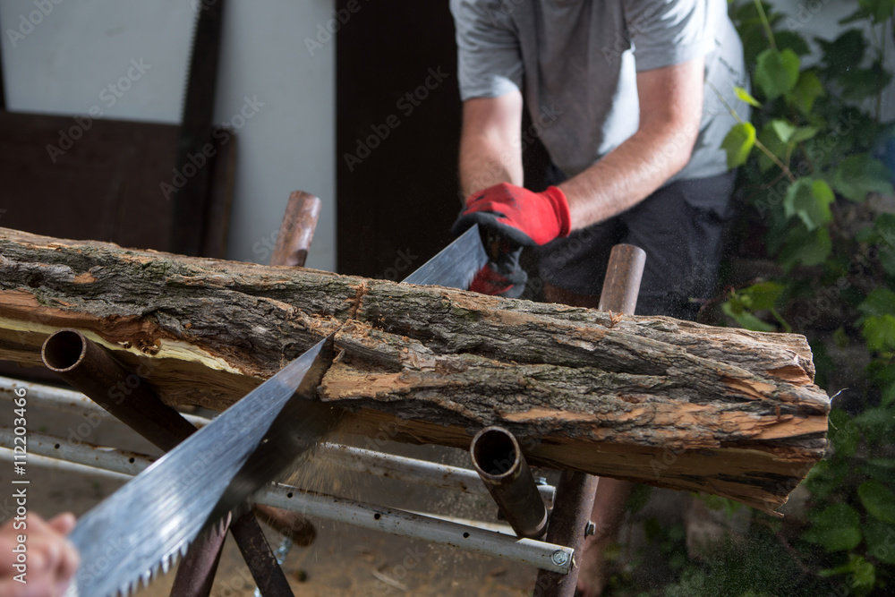 cutting trees for firewood, hand saw cutting
cutting trees for firewood, hand saw cutting