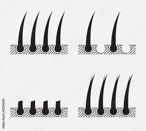 hair vector vector graphic , logo and icon , black hair set