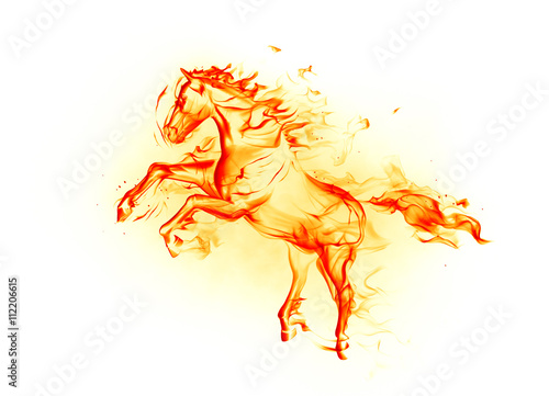 Fototapeta Naklejka Na Ścianę i Meble -  Fire horse