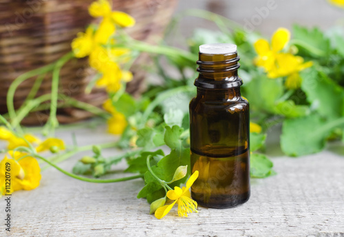 Small bottle of celandine infusion (herbal tincture, extract, oil)