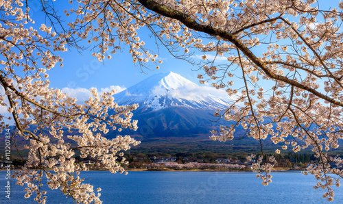 Mt. Fuji and Cherry Blossom at lake Kawaguchiko, Japan