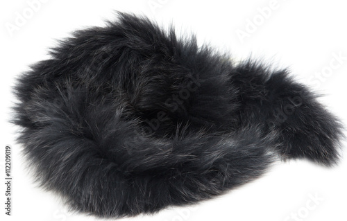 black fur on a white background photo