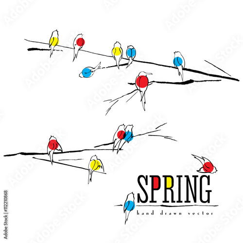 Birds on branch vector card, various birds silhouettes made with ink pen, singing and chirping birds are marked with different colors. Spring background.
