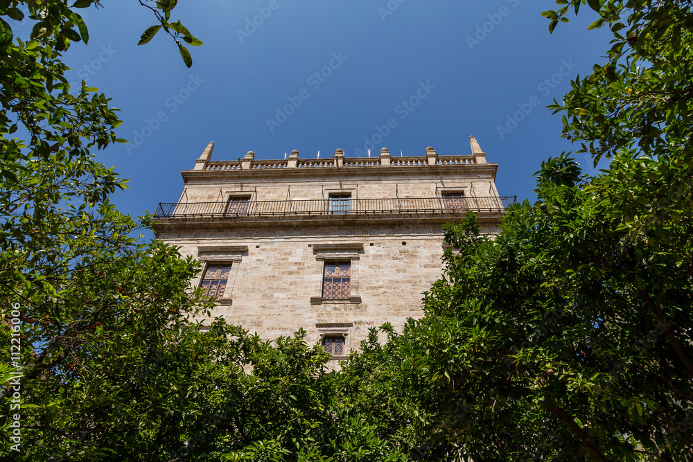 Fototapeta premium Palacio de la Generalitat en Valencia, Spain