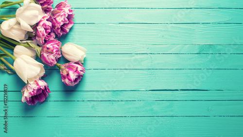 Fototapeta Naklejka Na Ścianę i Meble -  Violet and white tulips flowers on bright turquoise  wooden  bac