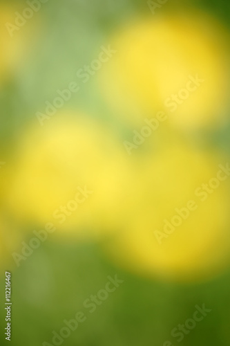 Gelbe Blüten unscharf / Die abstrakte und unscharfe Nahaufnahme von gelben Blüten.