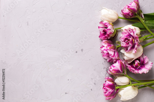 Fototapeta Naklejka Na Ścianę i Meble -  Bright  violet and white tulips flowers
