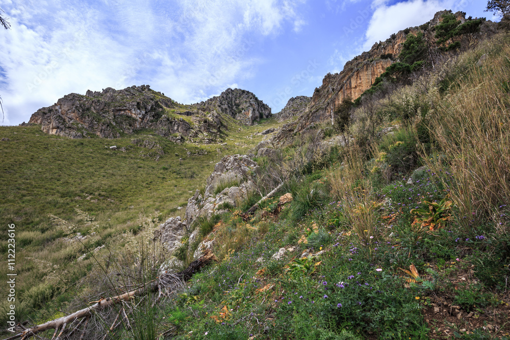 Sicilian Spring Hills Landscape