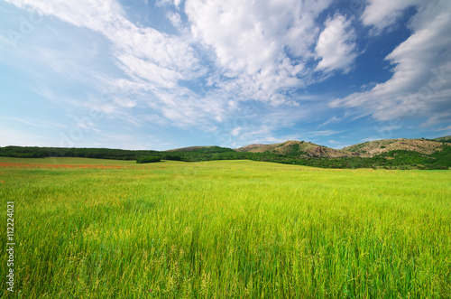 Green meadow in mountain.