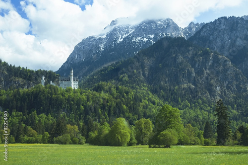 Bavarian Medieval Castle green field Alpine mountains © guzelika