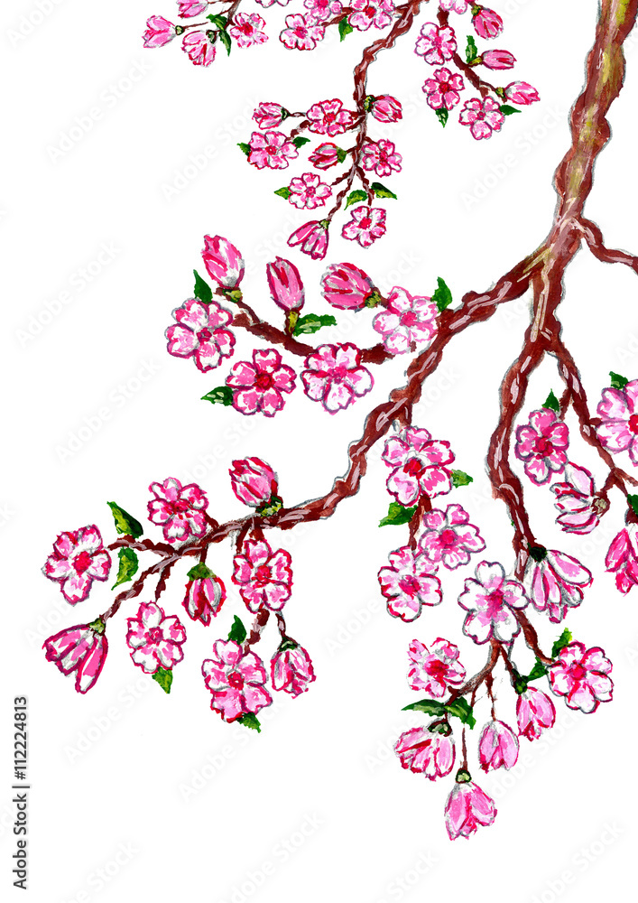 Naklejka premium Sakura Branch Painting