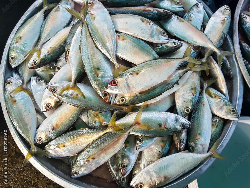 Raw fresh fish in market, seafood