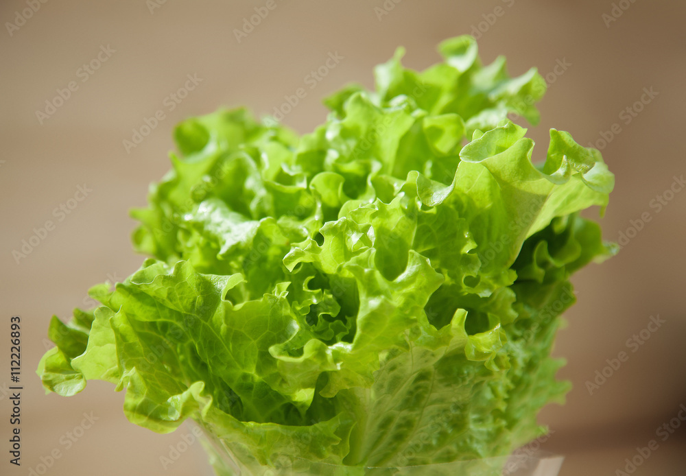 Fresh letucce Fresh letucce