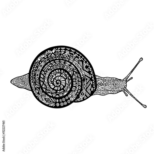 Hand drawn snail on white background. Vector doodle snail