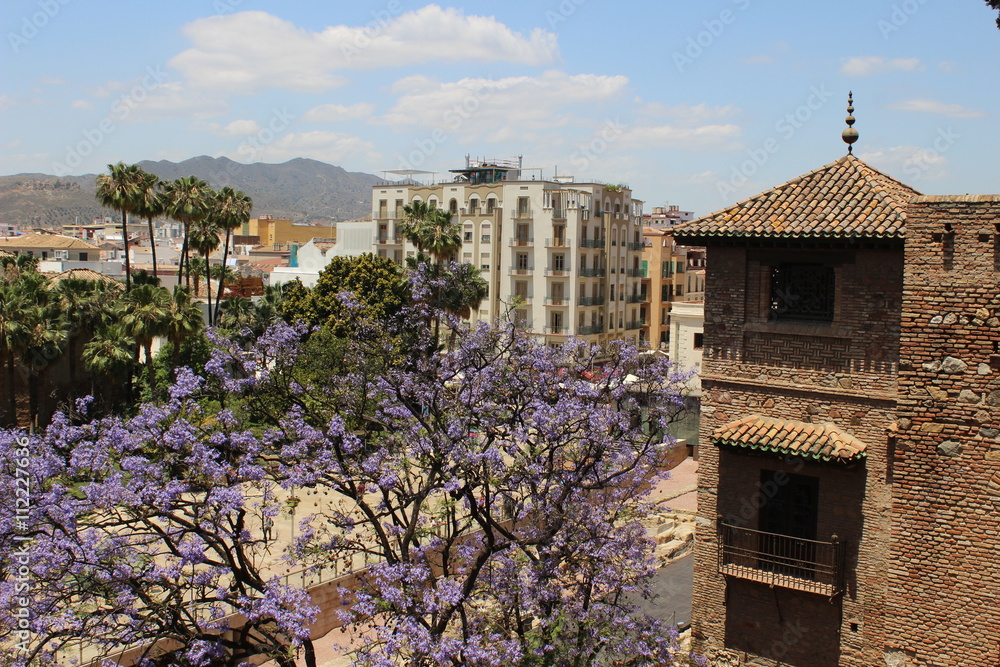 Alcazaba de Málaga en primavera