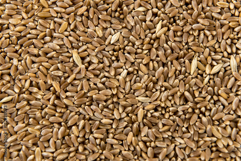 Close up of grains. Whole background. Close up of grains. Whole background.