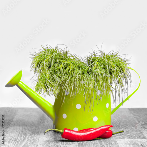 Agretti Chili Pepper