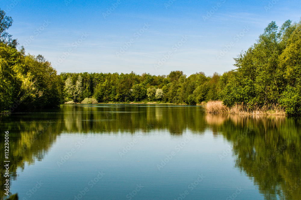 Hackenbroich - Waldsee im Frühling