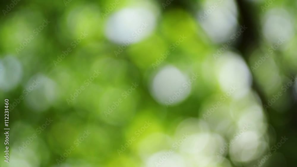Abstract green bokeh background, light circles blinking Abstract green bokeh background, light circles blinking
