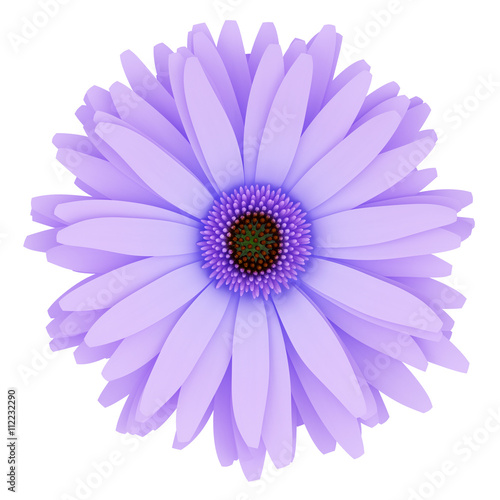 top view of purple flower isolated on white background. 3d illus