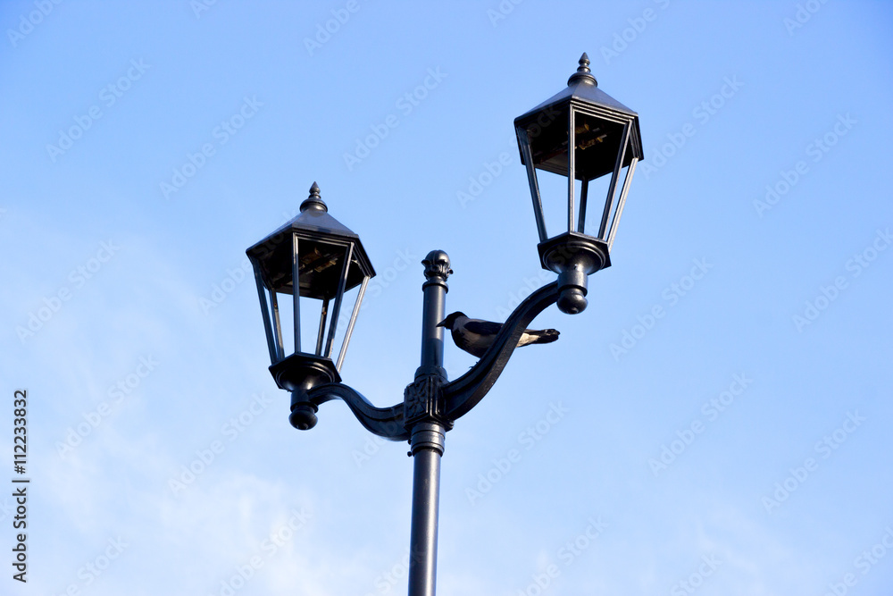 crow on black lamp post 