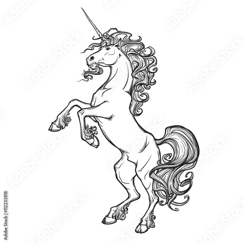 Rearing unicorn on white background