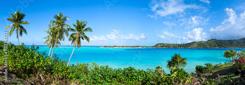 Fototapeta samoprzylepna Panorama Morza Południowego z palmami