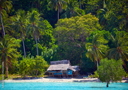 House of Robinson Crusoe. Beautiful island with blue bay and palms photo