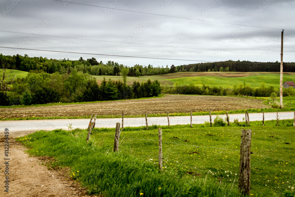 rural fields landscape