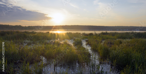 Sunny summer morning