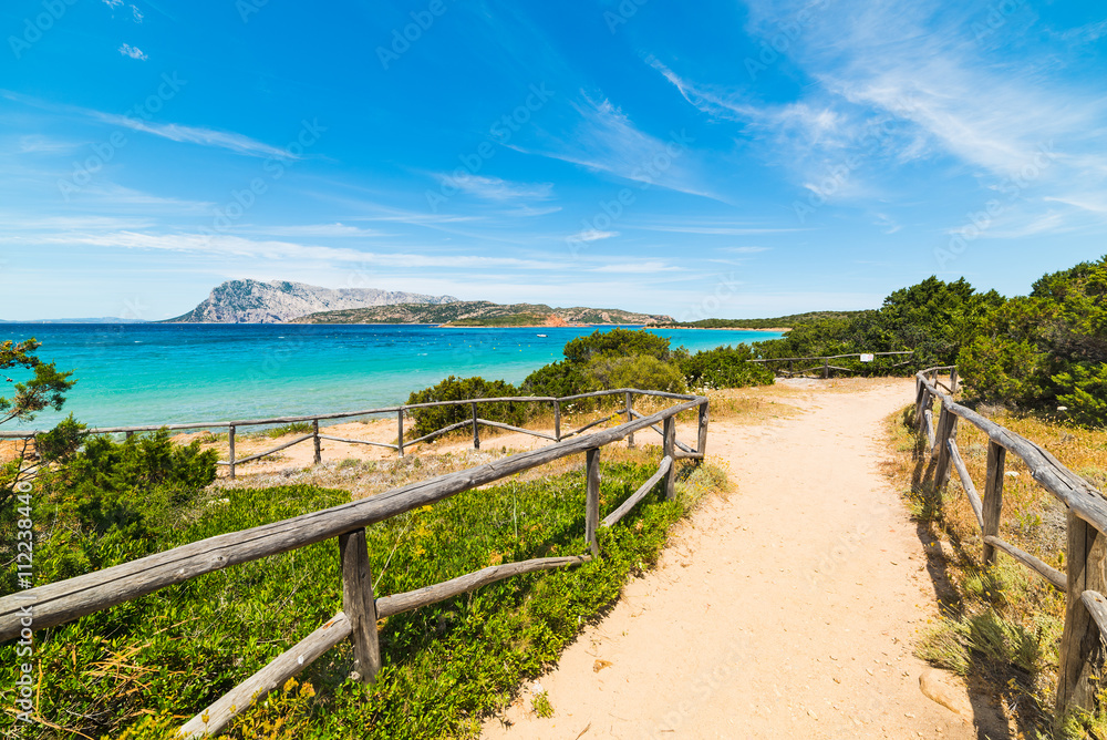 dirt path to the sea in Sardinia