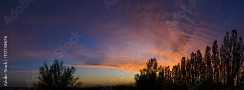 Panoramic sunset with silhouette of trees
