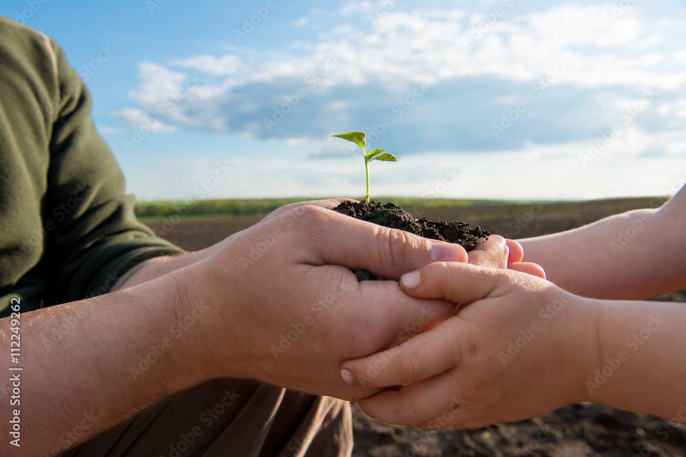 Father and child holding in hands a fresh young plant Father and child holding in hands a fresh young plant