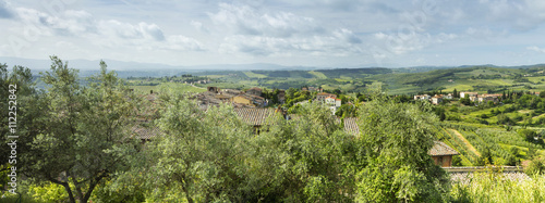 view to olive trees and tuscany landscape in Tuscany in Italy