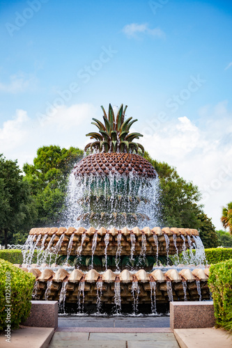 Pineapple fountain in Charleston South Carolina