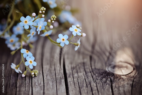 Fototapeta Naklejka Na Ścianę i Meble -  Forget-me-nots on a wooden table