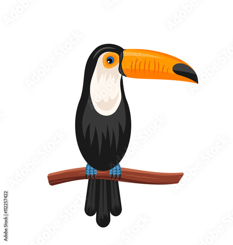 Funny Toucan Sitting on Branch, Exotic Bird Isolated 