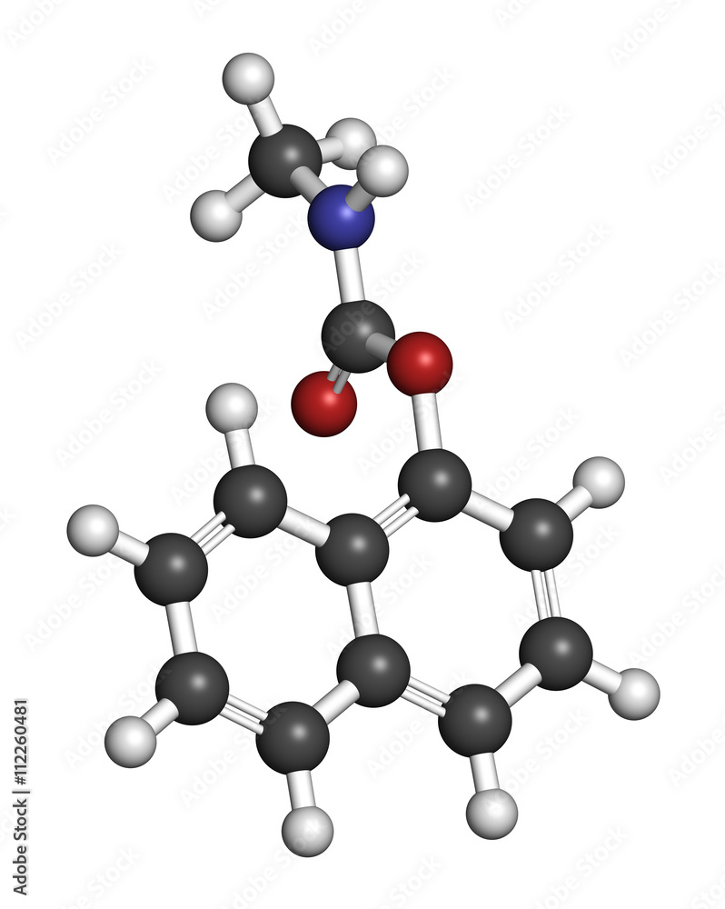 Carbaryl (carbaril) insecticide molecule (carbamate class). Carbaryl (carbaril) insecticide molecule (carbamate class).