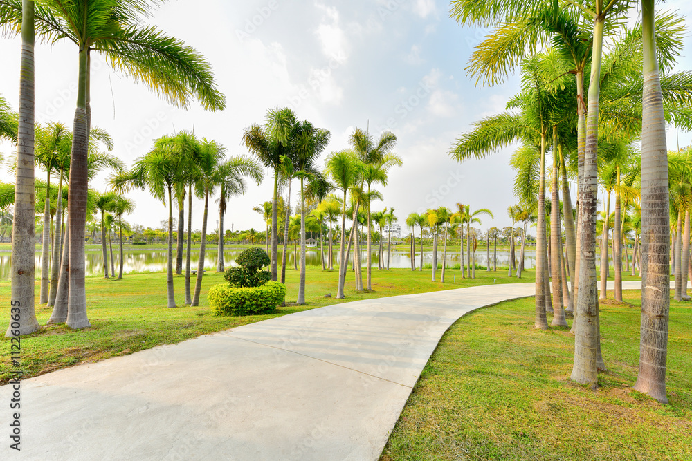 Landscape with jogging track at green park , Palm tree at green garden with jogging track and no people