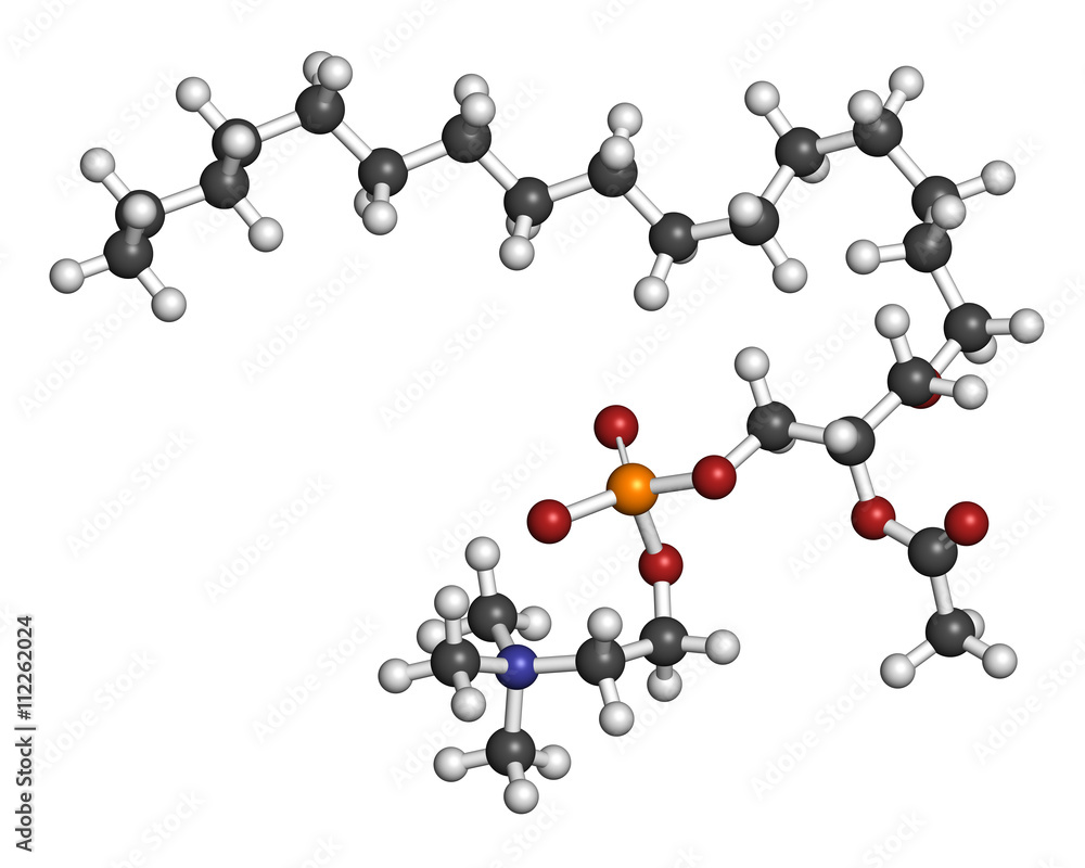 Platelet Activating Factor (PAF) signaling molecule. Platelet Activating Factor (PAF) signaling molecule.