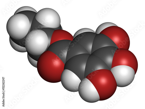 Propyl gallate antioxidant food additive molecule. 3D rendering. photo