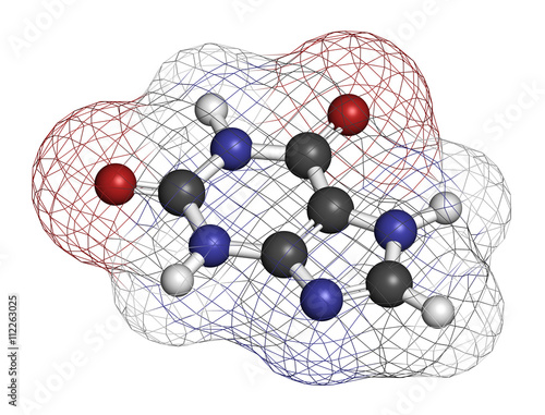 Xanthine purine base molecule. 3D rendering.  photo