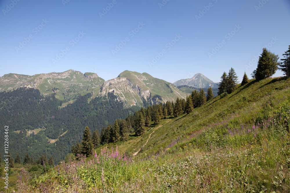 The view of summer mountains in French Alps near from Avoriaz