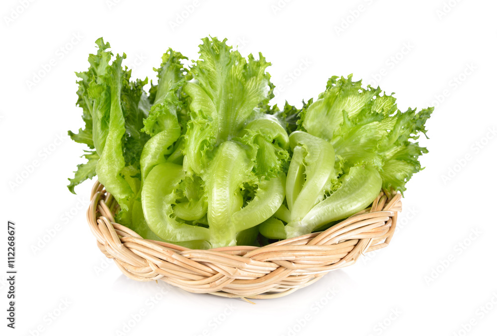 green frillies iceberg lettuce in rattan basket on white backgro green frillies iceberg lettuce in rattan basket on white backgro