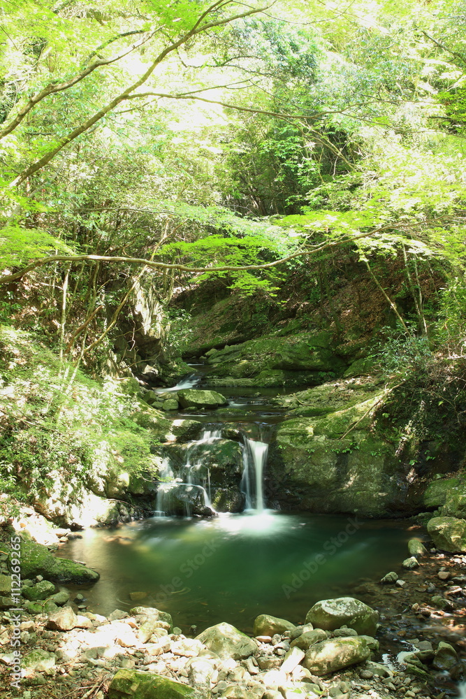 Obraz premium 犬鳴山