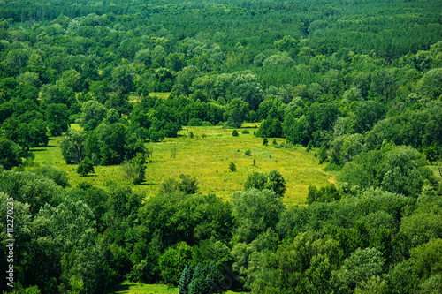 Air view of meadow in forest © Mediagfx
