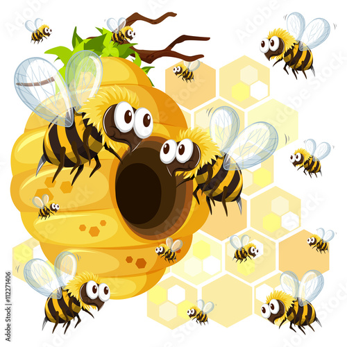 Bees flying around the beehive