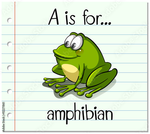 Flashcard letter A is for amphibian