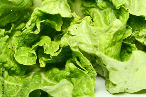 Chinese cabbage , green vegetable