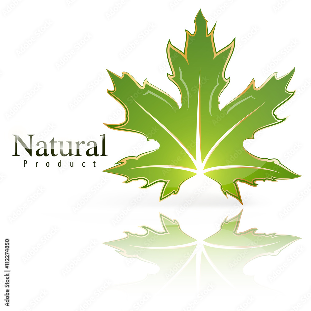 Fototapeta premium Premium green leaf icon.